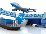 CUSTOMS PROFESSIONAL MANUAL (P1)