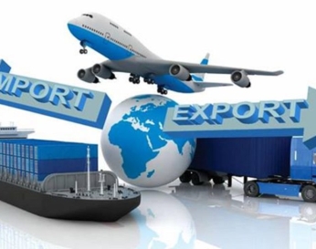 CUSTOMS PROFESSIONAL MANUAL (P1)