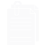 CUSTOMS DECLARATION SERVICES